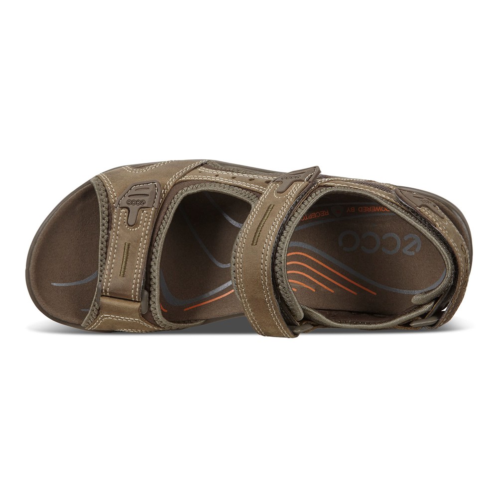 Sandalias Hombre - ECCO Yucatan - Marrom - ASV831462